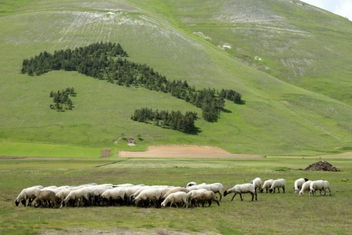 Hotel Europa Norcia Eksteriør billede
